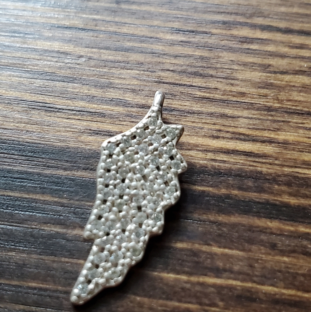 Silver Angel Wing - Picture 2 of 3
